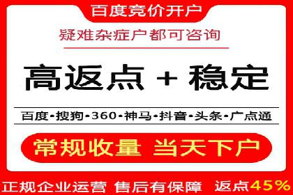 成功案例：专业SEM托管服务助力企业抢占行业制高点